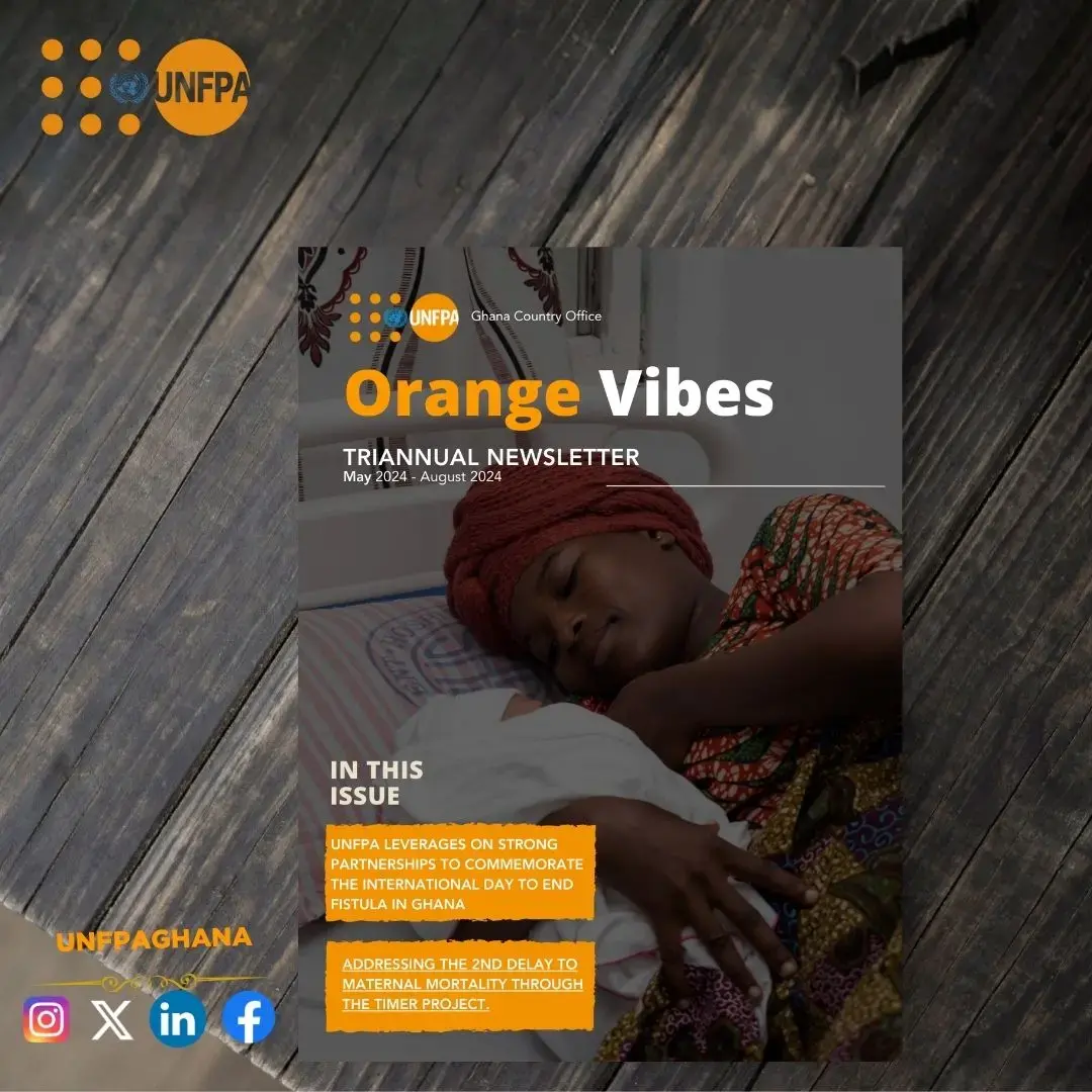 Triannual Newsletter - Orange Vibes